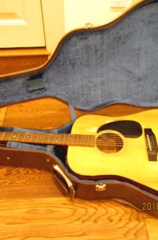 Takamine & Co Guitar 1