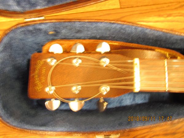 Takamine & Co Guitar 4